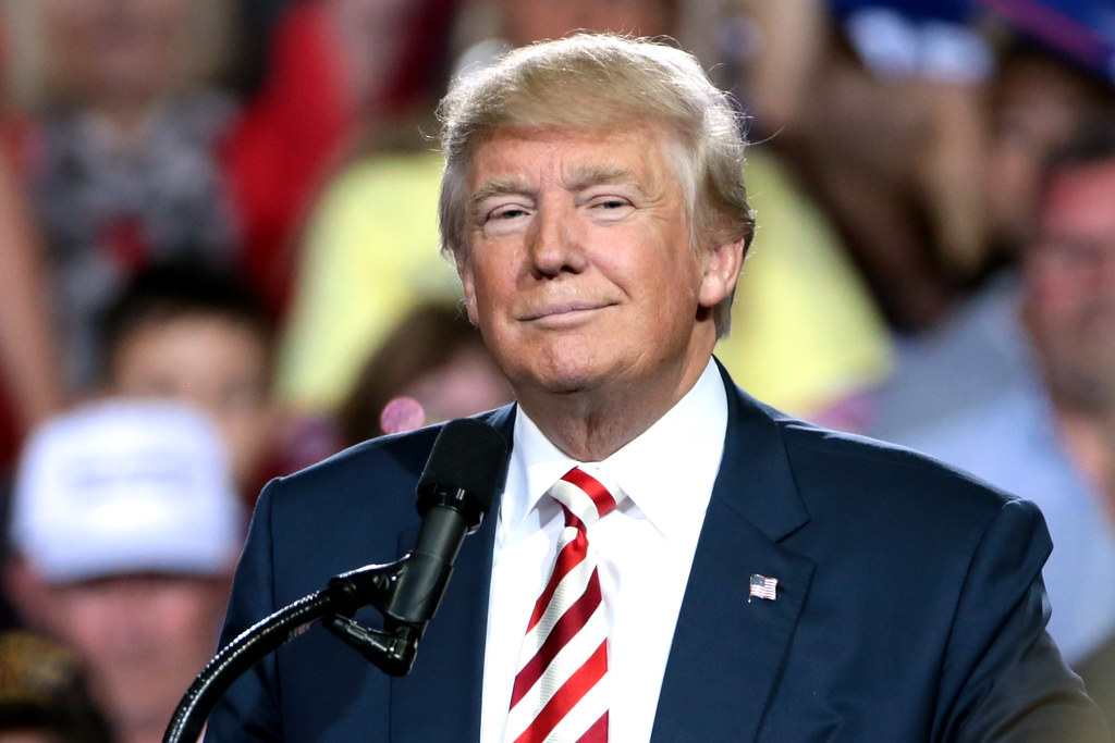 Media Name: trump_the_accidental_president.jpg