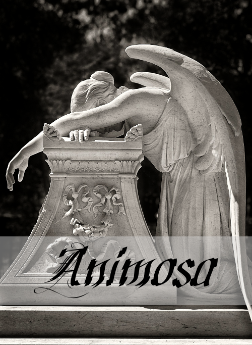 Animosa