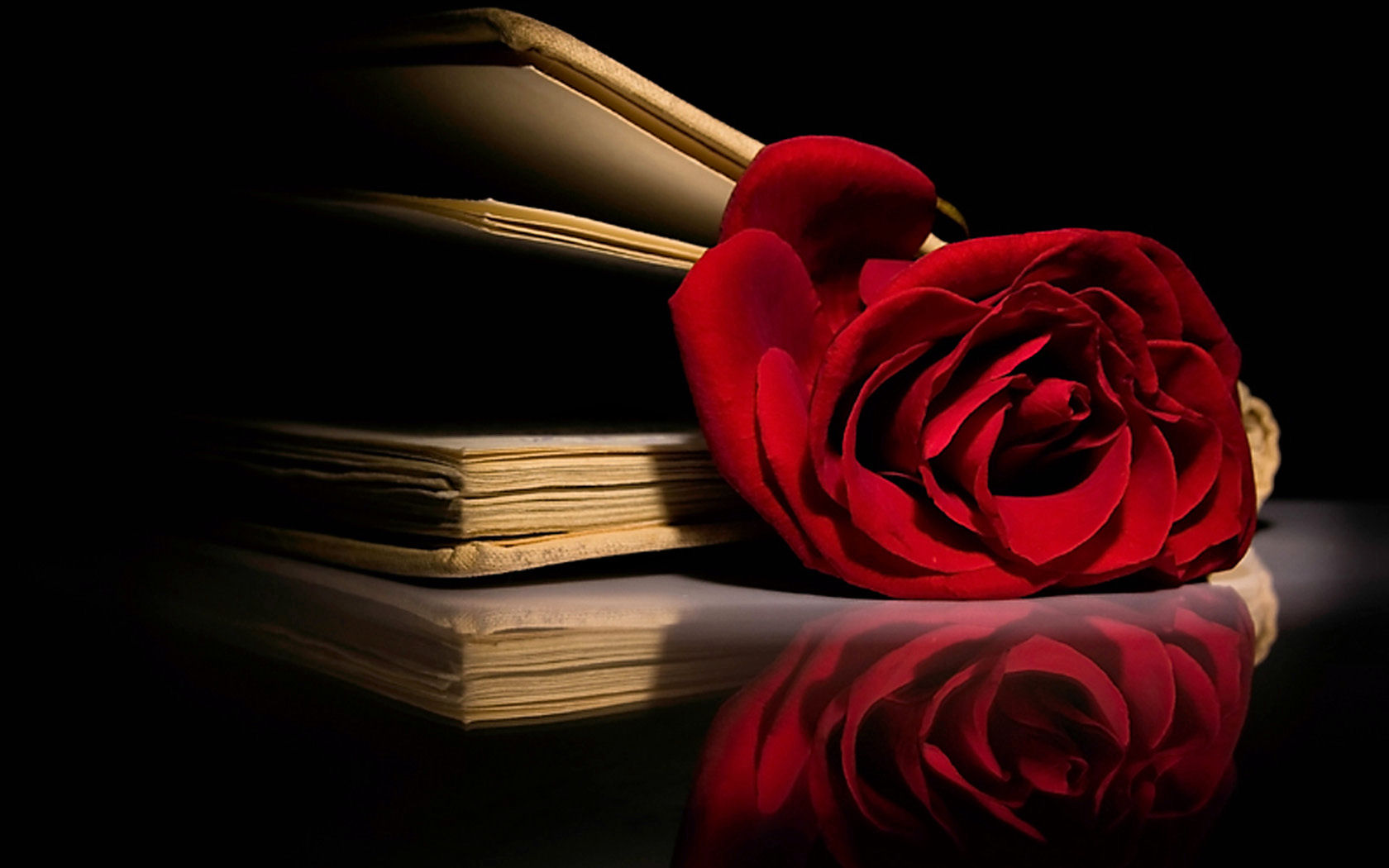 Un Amour De Musique