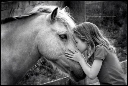 Wild Love