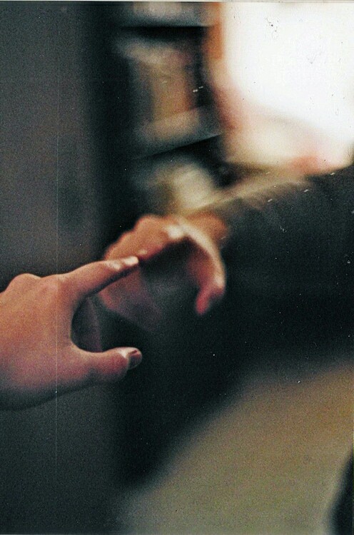 Torn