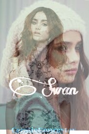 Swan
