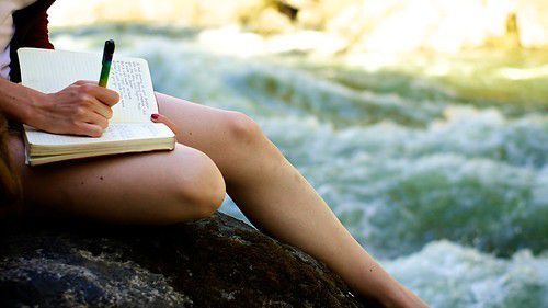 Le carnet mauve