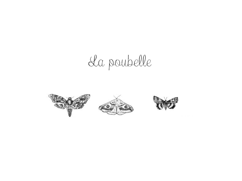 La poubelle