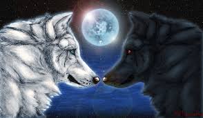 Ying Yang