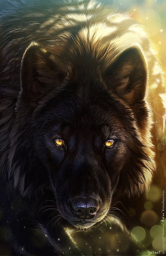 Erim