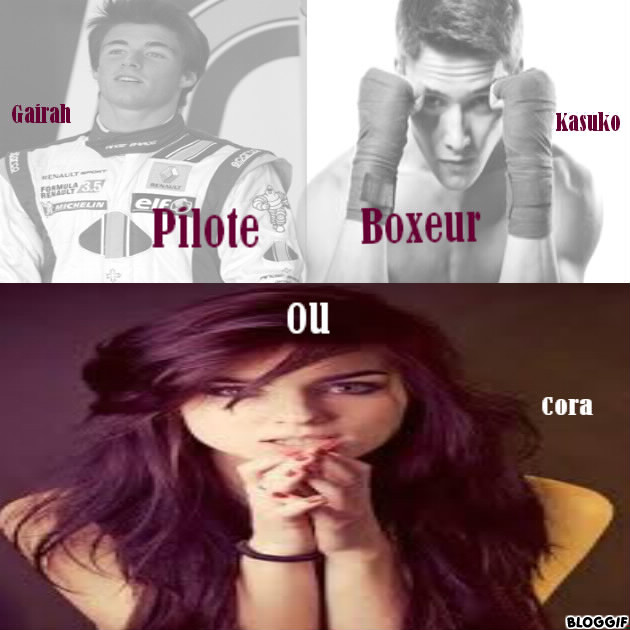 Pilote ou boxeur ?