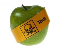 La Pomme Hormonale