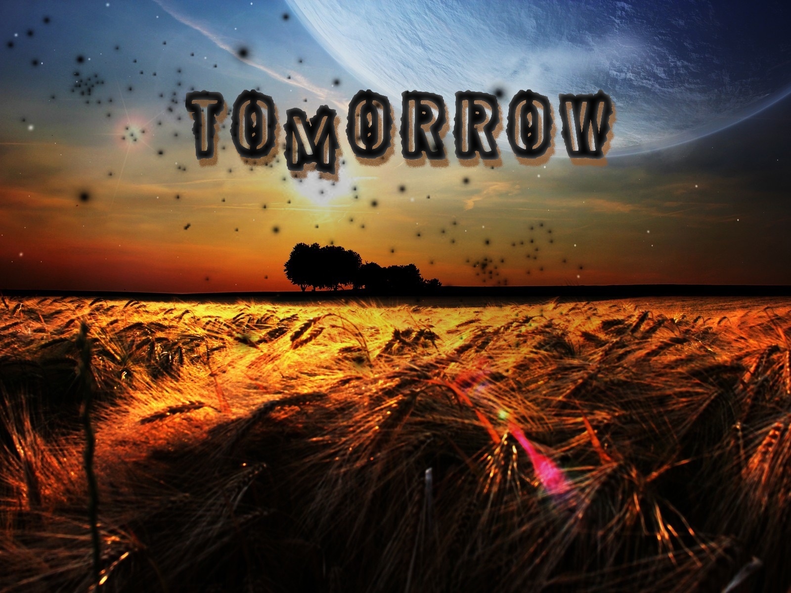 Tomorrow