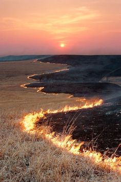 Tout feu tout flammes