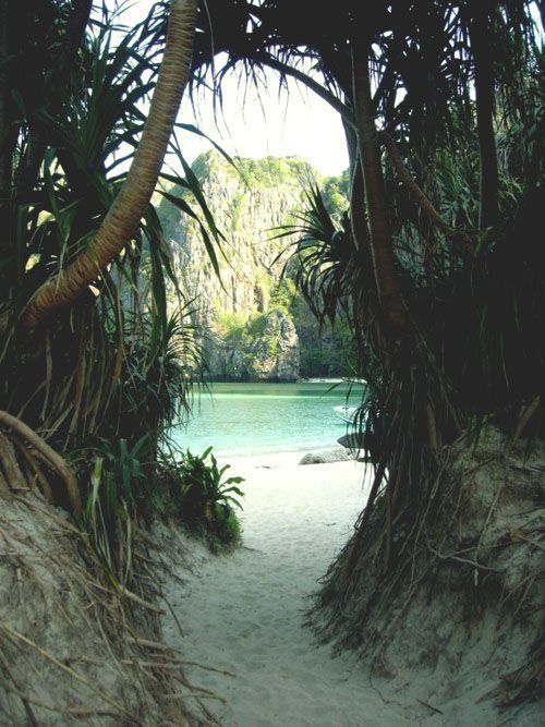Travel at all costs