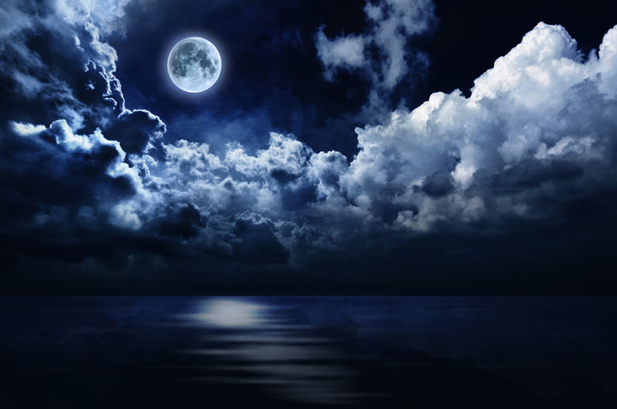 Nuit Volage