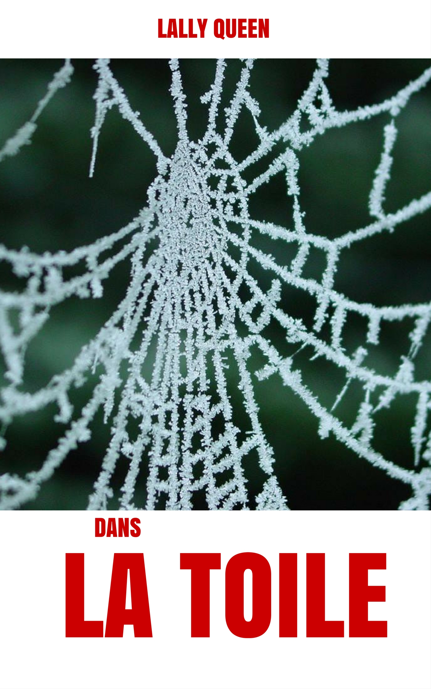 Dans la toile