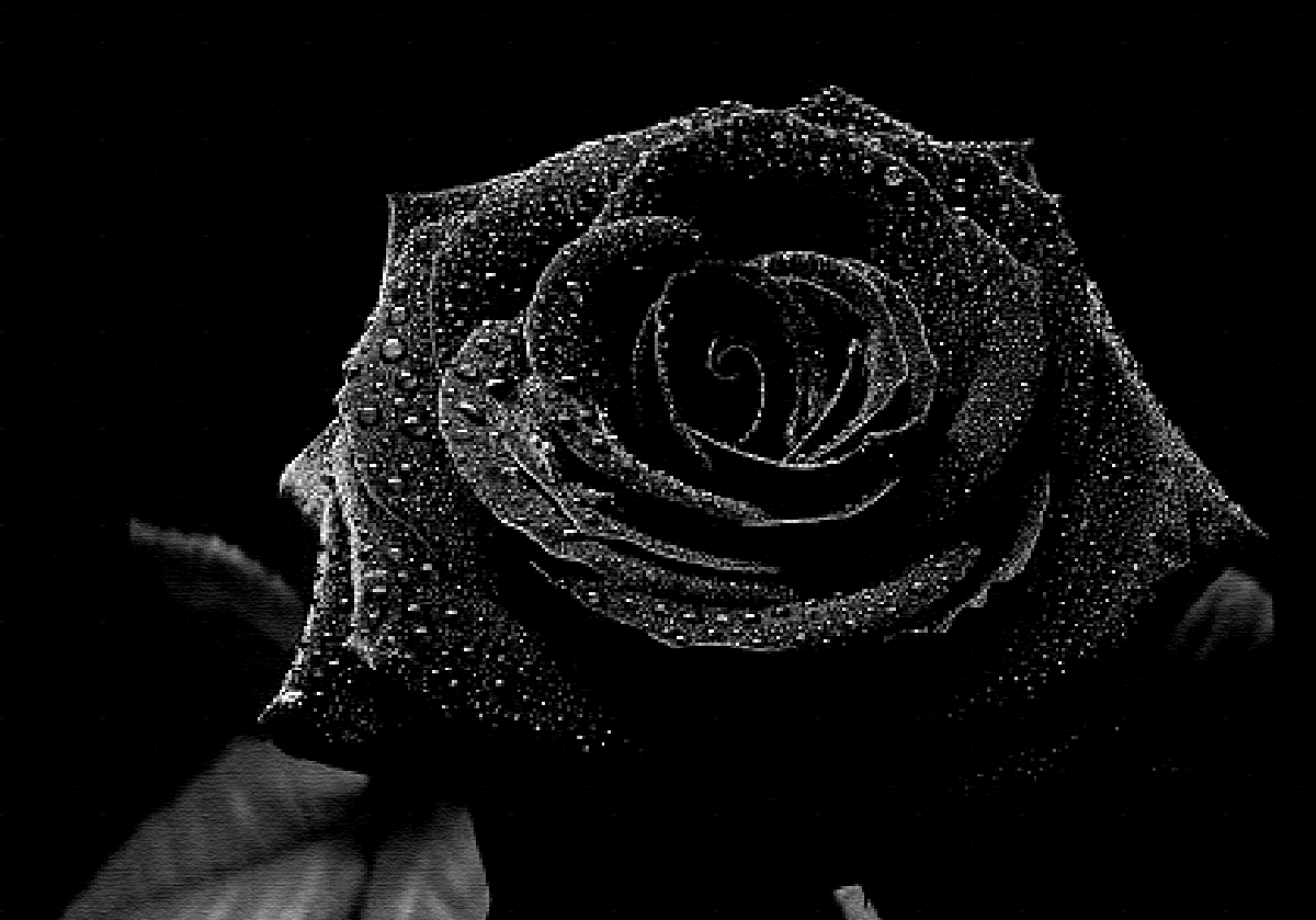 A fleur de peau