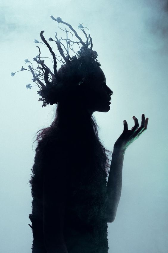 Les Invisibles