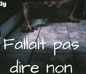 Fallait pas dire non