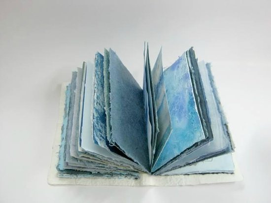 Le carnet bleu