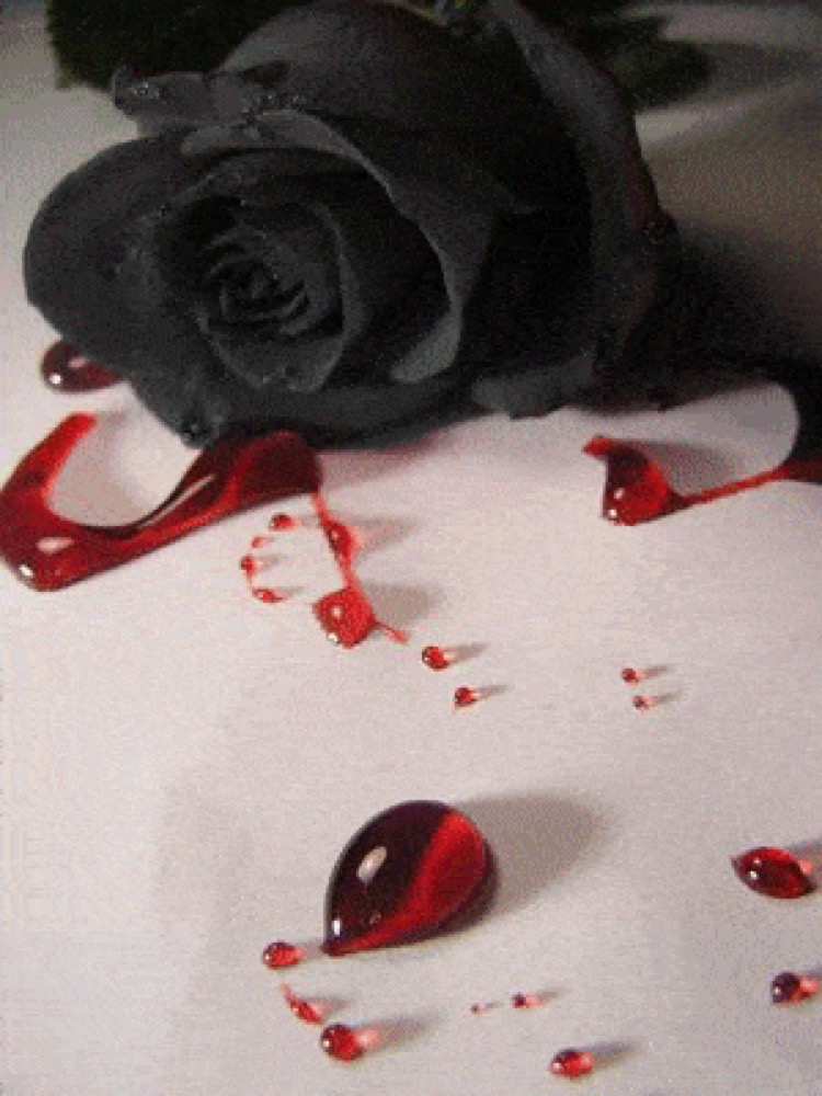 la rose noire