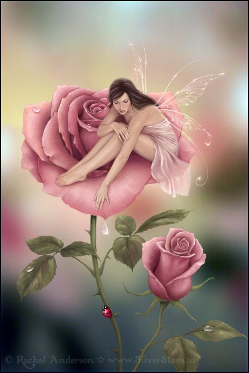 Le nouveau monde de Rose