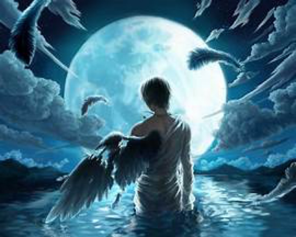 Nino et la Nuit