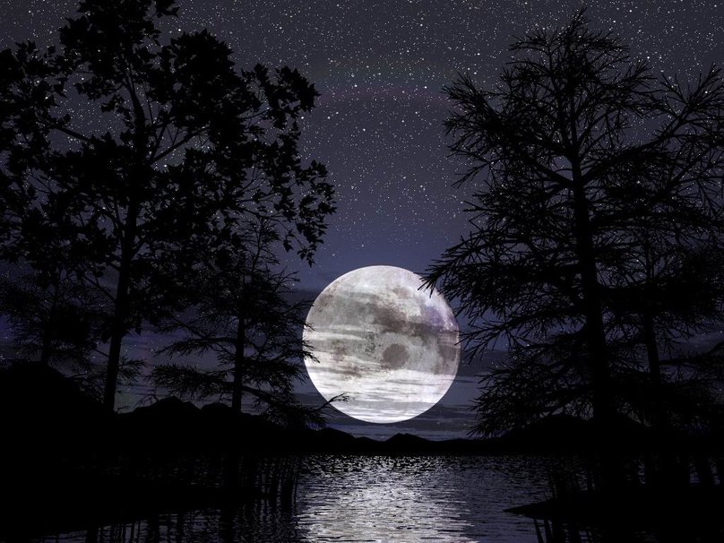 Man Of The Moon