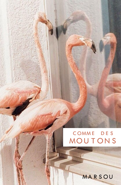 Comme des Moutons