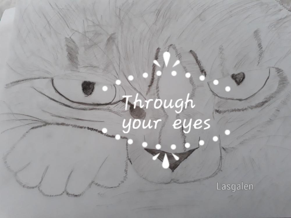Through your eyes