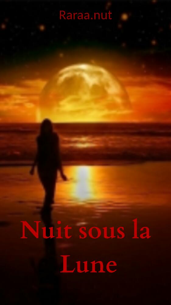 Nuit sous la lune