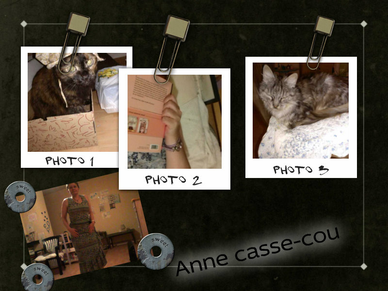 Anne casse-cou
