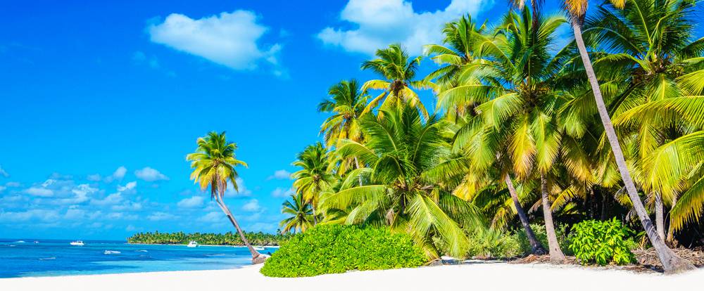 TROIS ANS... EN MARTINIQUE !