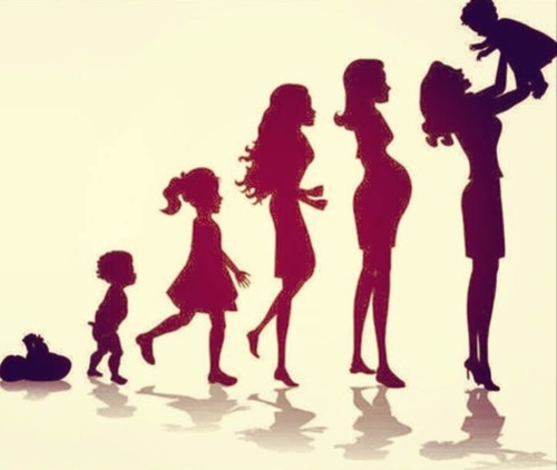 EVOLUTION OU REVOLUTION