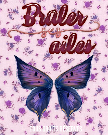 Brûler ses ailes
