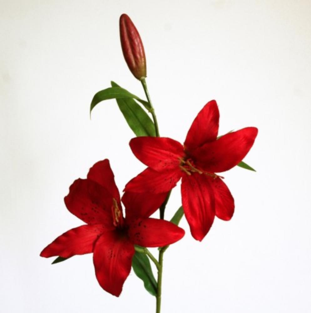 Fleur de jeunesse