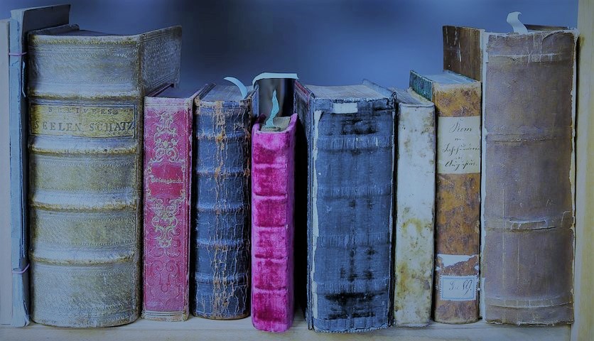 Le livre bleu