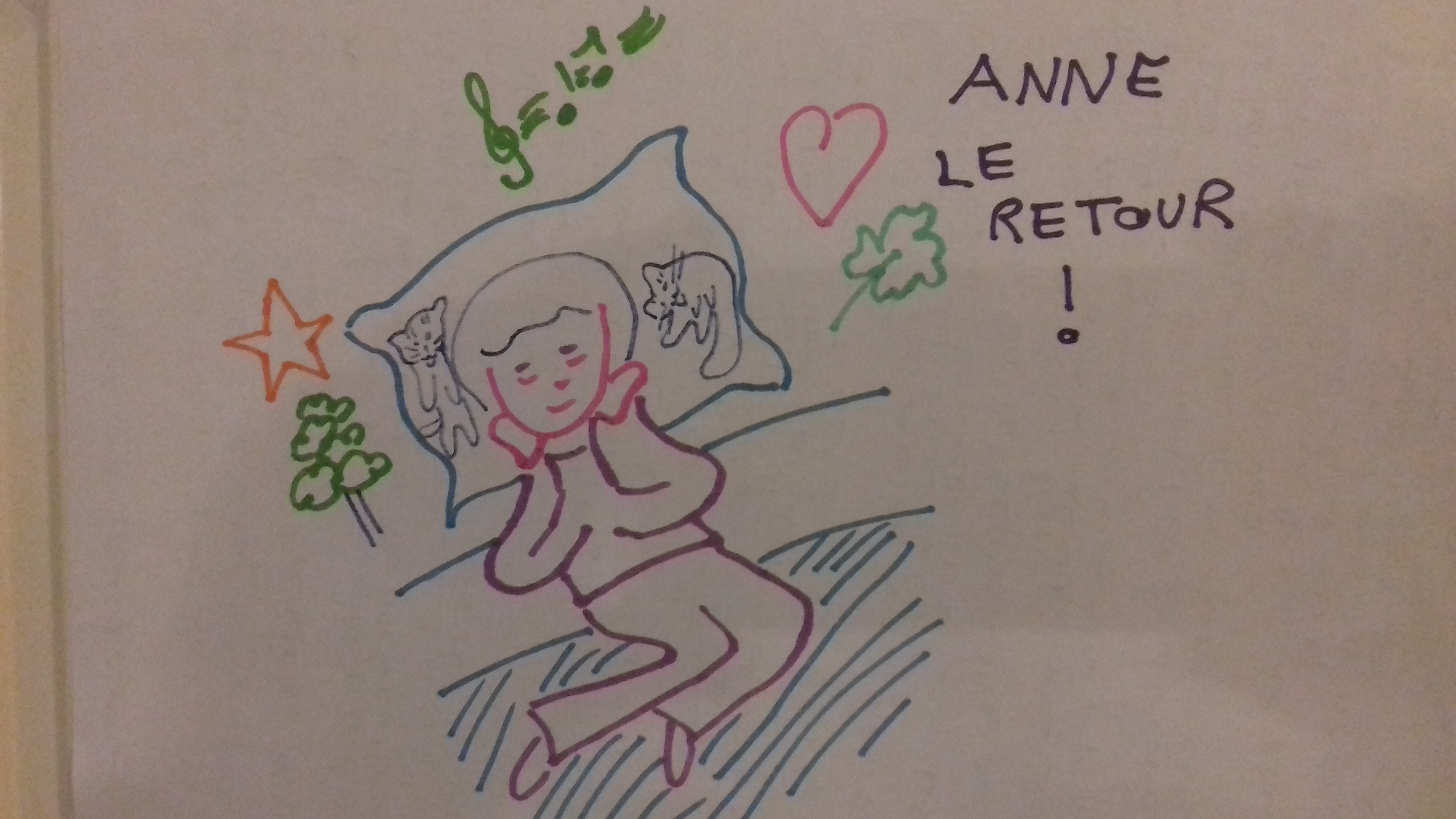 anne : le retour