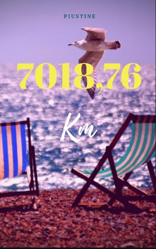 7018,76 km