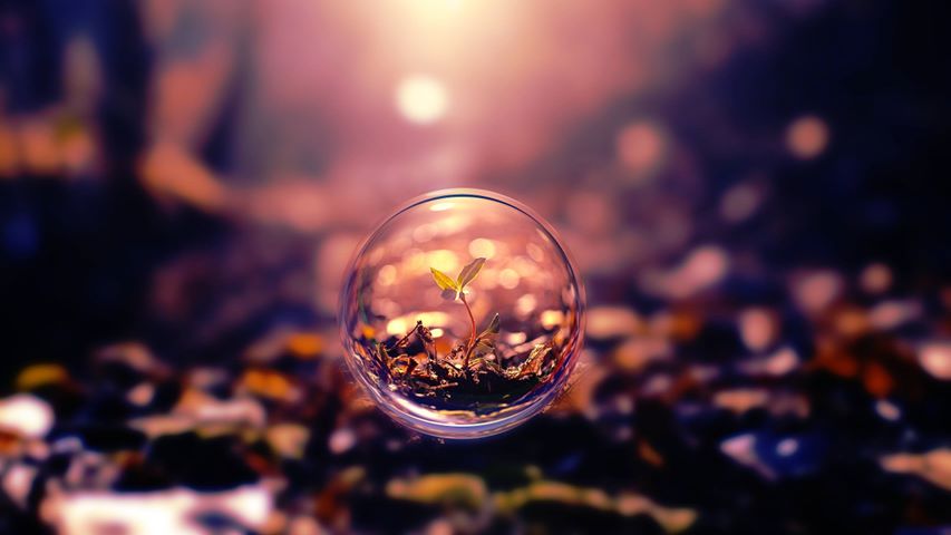 Au milieu de l'hiver