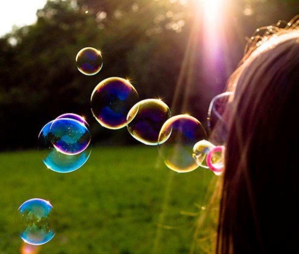 La bulle