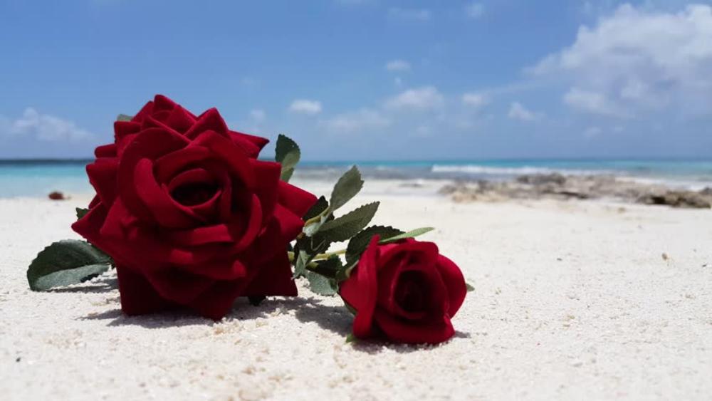 LE VILLAGE DES ROSES