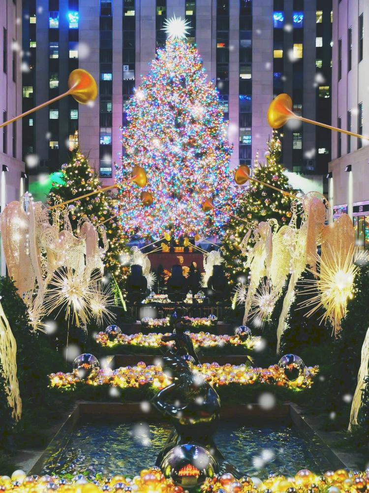 Christmas Wish