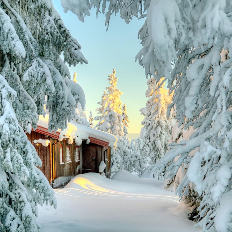 Snowballs