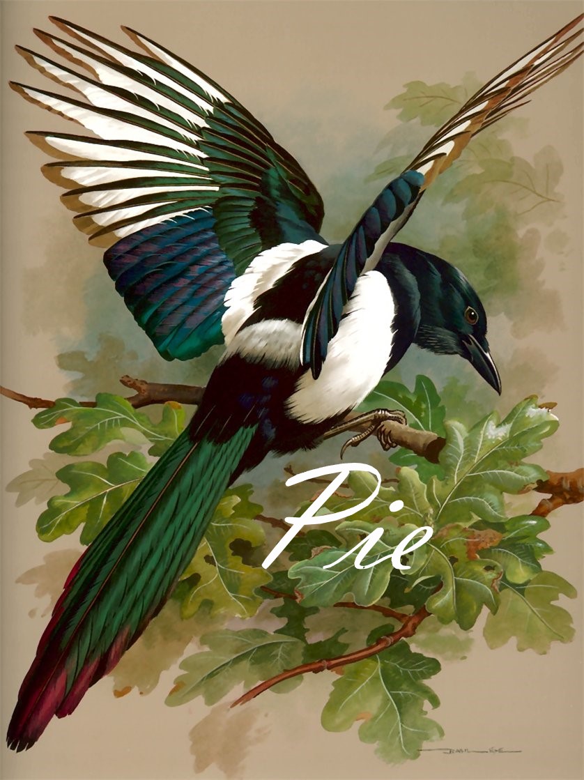 Pie