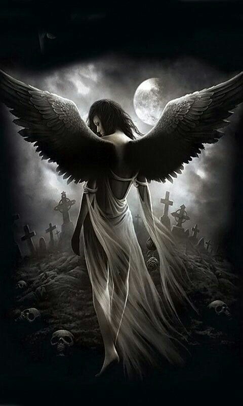 Lost Angels
