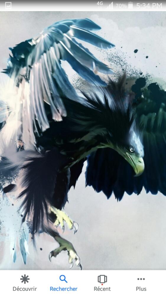 un prisonnier sans ailes