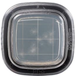 ぺたんチェック®DD 20枚 PD寒天培地(CP加) PD0018 20枚入