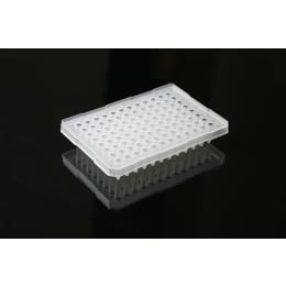 【販売終了】スカート付き96穴PCRプレート 0.2mL 100枚