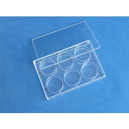 硝子製マイクロプレート 本体/中板付 B-3 6ウェル