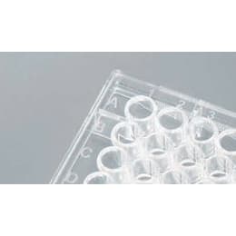 U底アッセイプレート 353910 50枚