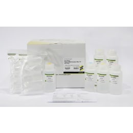 プラスミドDNA精製 FAPDE 002-1 50回