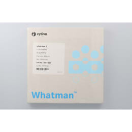 定性ろ紙 #1 240mm 100枚